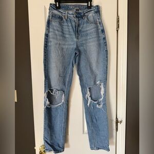 American Eagle Outfitters Strigid Ripped Mom Jeans
